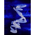Luminotype 1