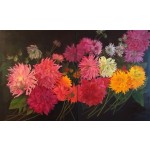 Dahlias