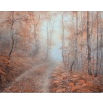Sentier d’automne à Rambouillet