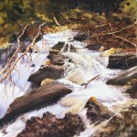 Après l’orage